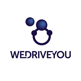 We Drive You